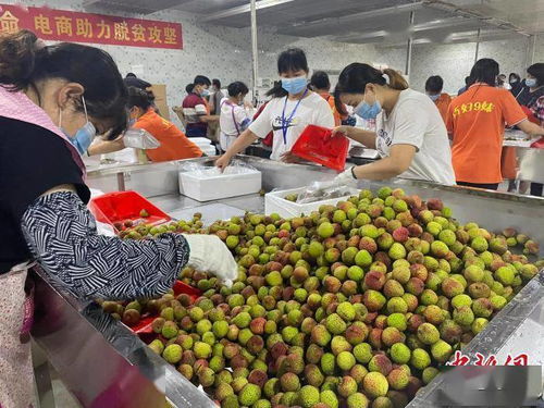 今年以来广东省采购 帮助销售广西农畜牧产品超215亿元